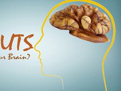 Les noix sont-elles bonnes pour votre cerveau ?