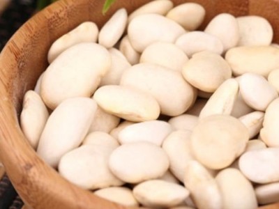 Quels sont les bienfaits des haricots blancs ?