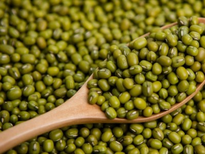 5 bienfaits des haricots verts pour la santé