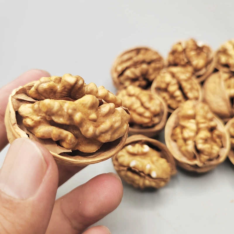 Bulk Walnut Kernels