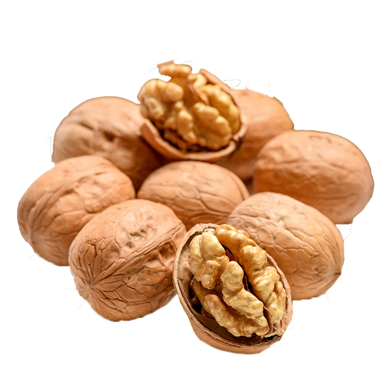 Bulk Walnut Kernels