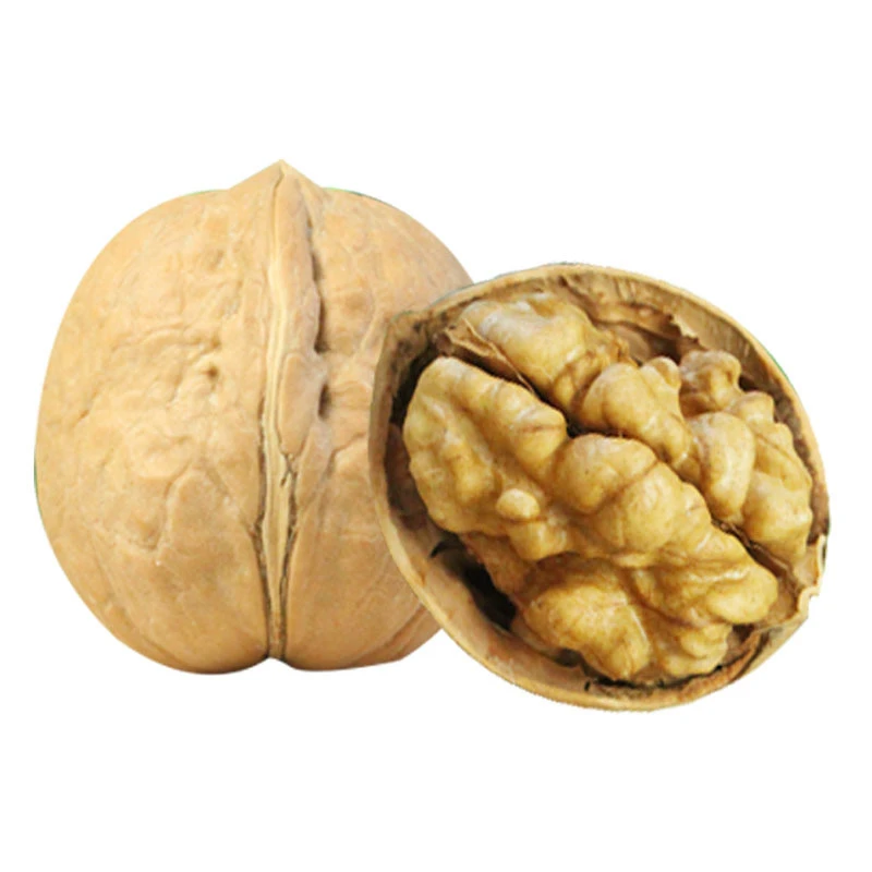 Bulk Walnut Kernels