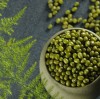 The origin and cooking of mung bean!
