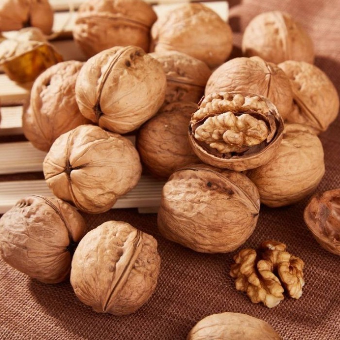 How to Store Walnut Kernels?