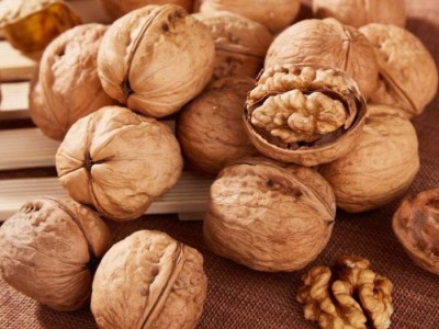 Comment conserver les cerneaux de noix ?