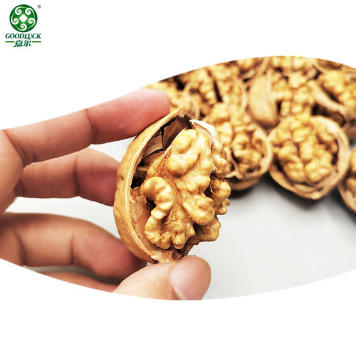 China Factory Manufacture Quality 185 Walnut Kernels For Food Processing And Snacking