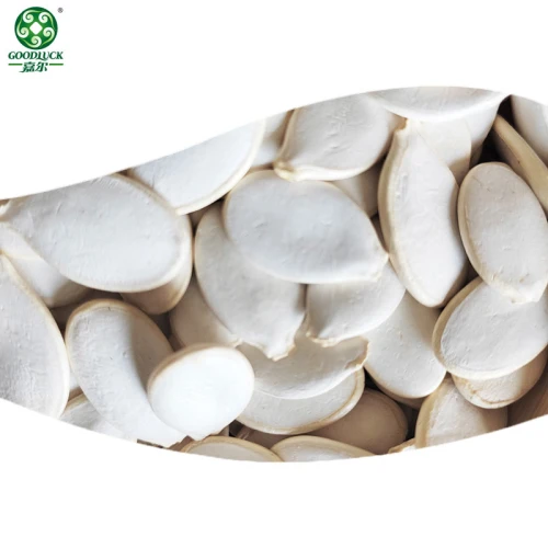 Bulk Raw Organic Snow White Cooking Pumpkin Seeds For Snacking