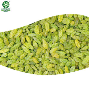 China factory manufacture quality cheap green raisins cheap price wholesale green raisins