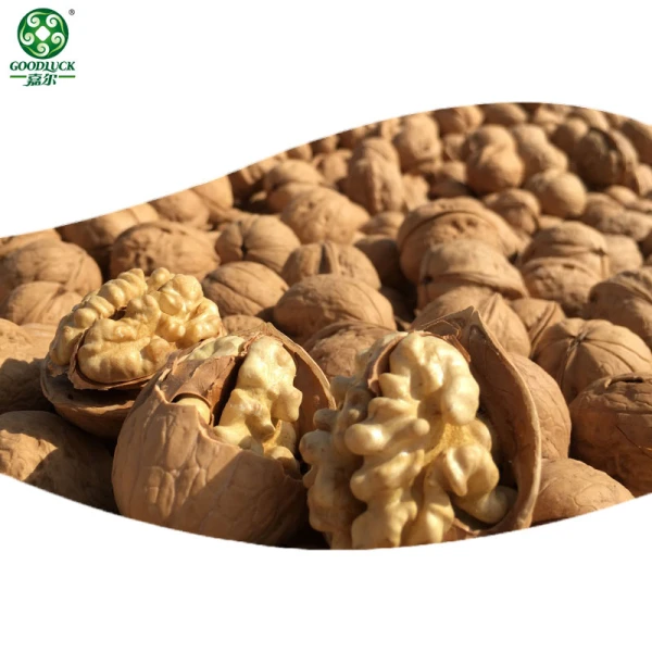 China Bulk 185 Walnuts In Paper-Thin Shell Are New Crop