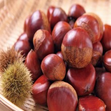 Chestnuts: Health Benefits and Uses