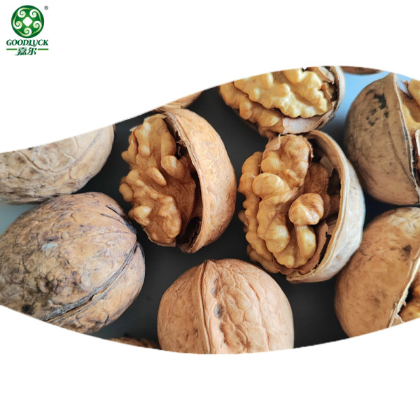 Whole walnuts in shell | New crop walnuts supplied by factories