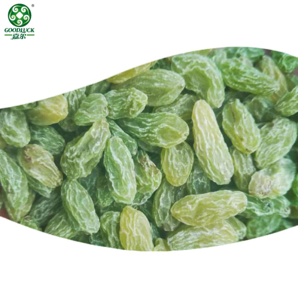 Wholesale Green Raisins Dried Fruit Worldwide Bulk Supply From China