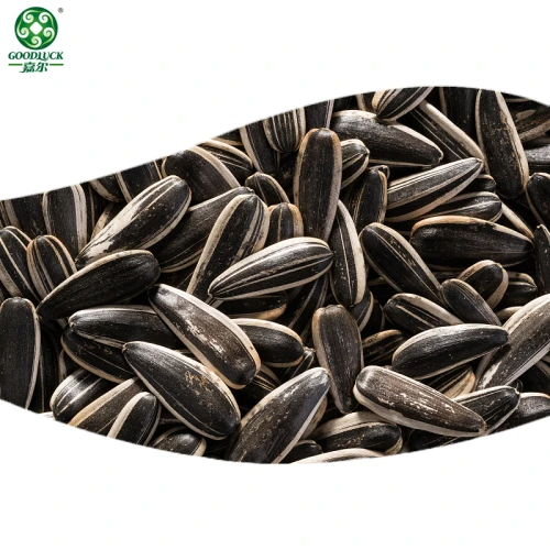 Black sunflower seeds wholesale | Organic Black Big Sunflower Seeds For Snacking And Oil