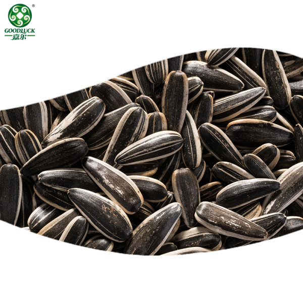 Black sunflower seeds wholesale | Organic Black Big Sunflower Seeds For Snacking And Oil
