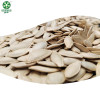 Bulk Lady Nail Roasted Pumpkin Seeds In Shell On Hot Sell Are Cheap