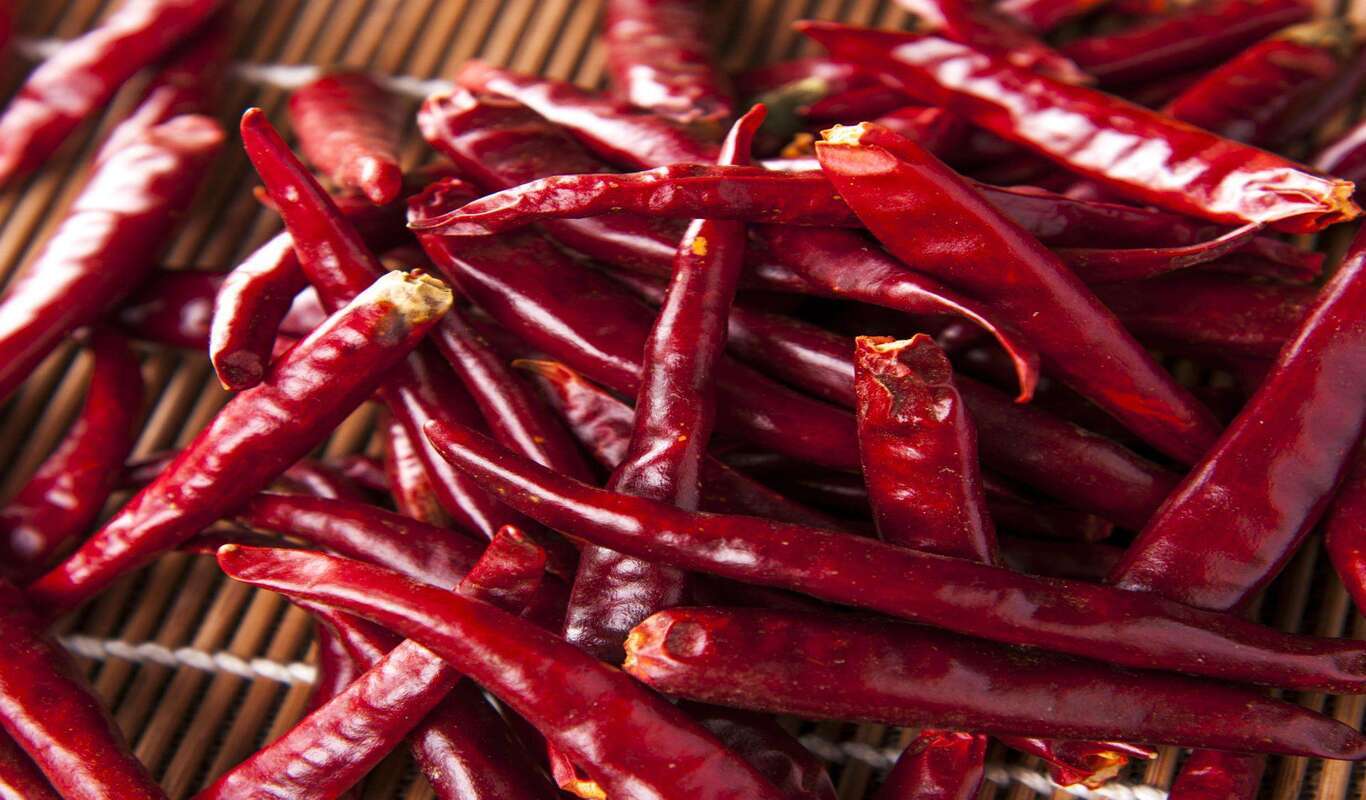 How Does Chili Works?Chili wholesale,Chili china supplier