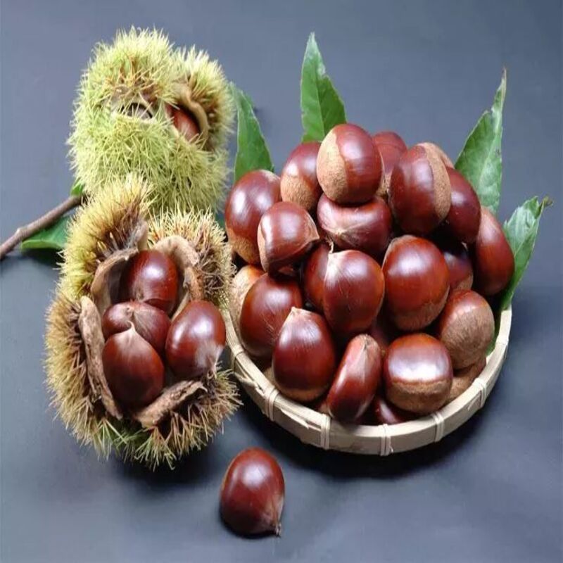 How to Store Chestnuts?