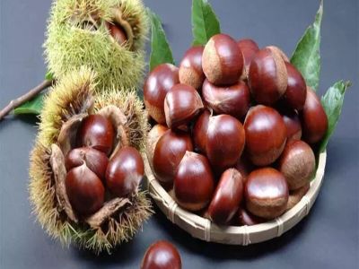 Comment conserver les châtaignes ?