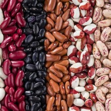 What's the Difference Between Kidney Beans, Red Beans, and Pinto Beans?