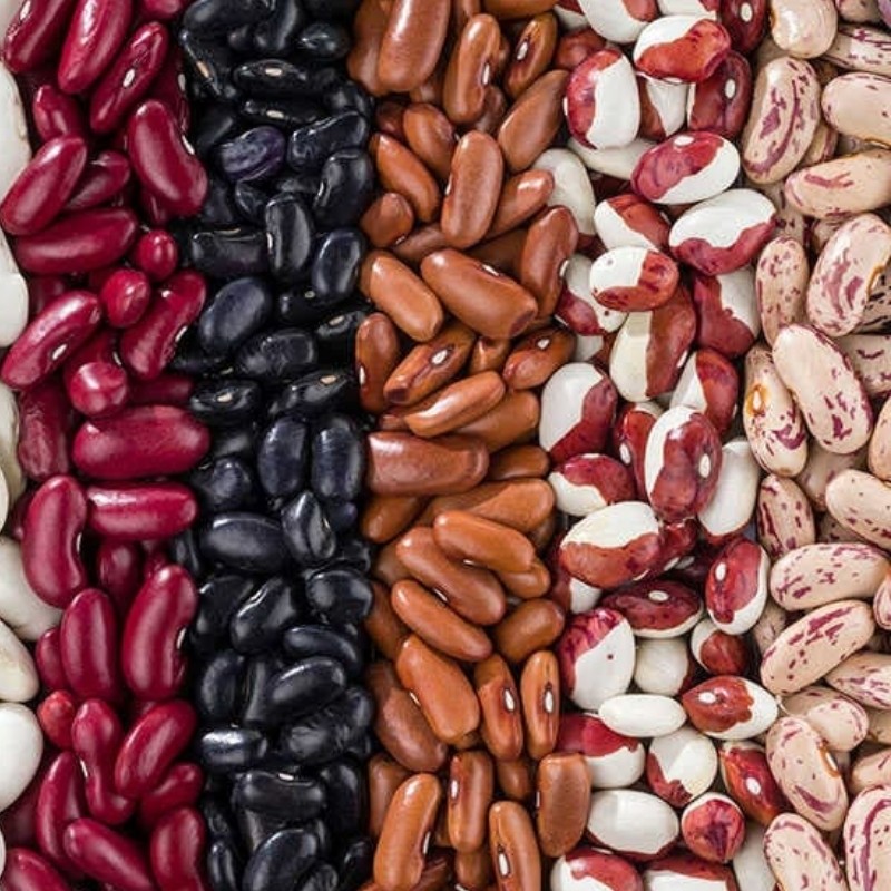 What's the Difference Between Kidney Beans, Red Beans, and Pinto Beans?