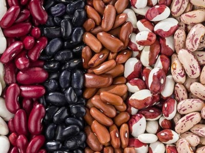 Quelle est la différence entre les haricots rouges, les haricots rouges et les haricots pinto ?