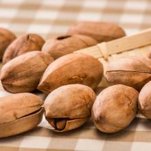 Use of Walnuts in New Product Formulations