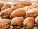 Use of Walnuts in New Product Formulations