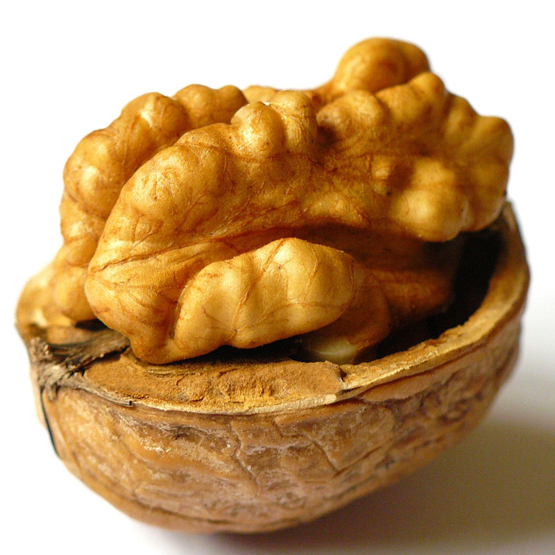 The Complete Guide to Handling Walnuts