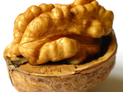 Le guide complet de la manipulation des noix