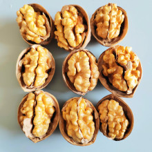 What are the benefits of walnuts