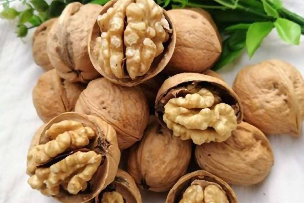 Quels sont les bienfaits des noix