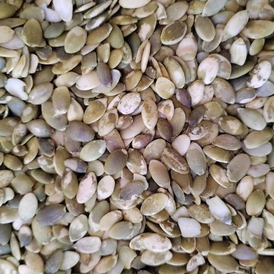 Wholesale Mixed Pumpkin Kernels Crispy Pumpkin Kernels For Food Materials With OEM/ODM Services