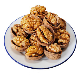 Wholesale Roasted 185 Type Walnuts Papper-Thin Shell For Export