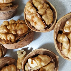 Wholesale Roasted 185 Walnut Papper-Thin Shell China walnut For Export