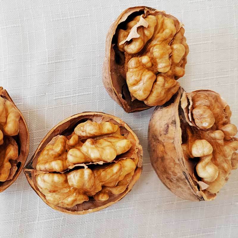 Can you eat raw walnuts?