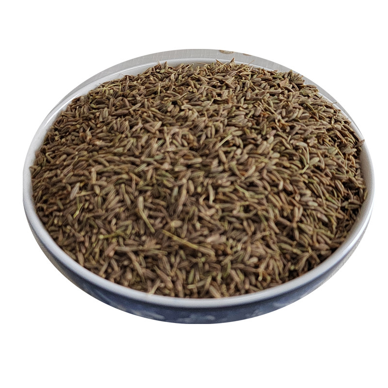 Wholesale Cumin Seeds,Cumin Seeds