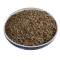 China 2023 Newest Crop Whole price Quality Cumin Seeds For BBQ and Other Food