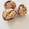 China Manufacture Premium 185 Walnut Inshell Wholesale Price Papper-Thin Shell Walnuts For Sale
