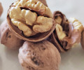 The prospect of China's walnut trade