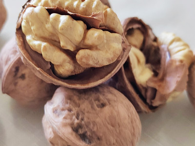 آفاق تجارة الجوز في الصين.