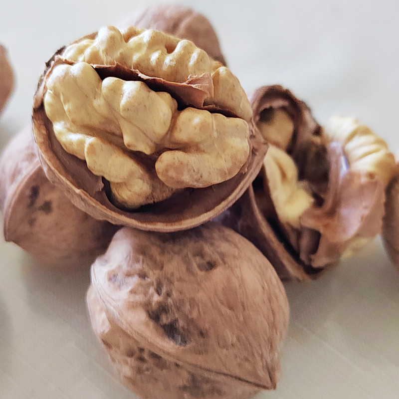 The prospect of China's walnut trade