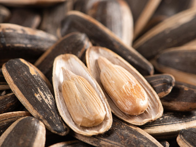 Incroyable ! Xinjiang GOODLUCK obtient l'autorisation de vente de graines de tournesol auprès de notre partenaire.