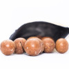 Factory Bulk Fresh Macadamia Nuts | Factory Supply Wholesale Macadamia Nuts For Snacking