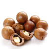 Factory Bulk Fresh Macadamia Nuts | Factory Supply Wholesale Macadamia Nuts For Snacking