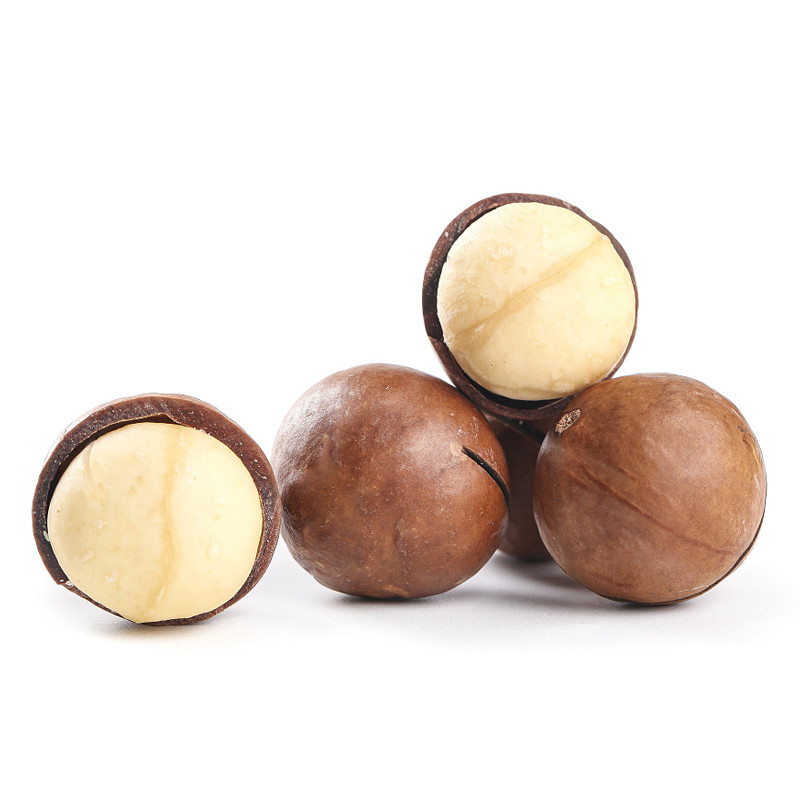 Noix de macadamia crémeuses naturelles, carton sous vide de noix de macadamia, emballage personnalisé de noix de macadamia, noix de macadamia fraîches en vrac d'usine, fournisseur de noix de macadamia en Chine