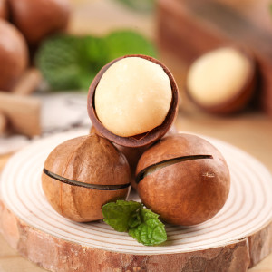 Factory Bulk Fresh Macadamia Nuts | Factory Supply Wholesale Macadamia Nuts For Snacking
