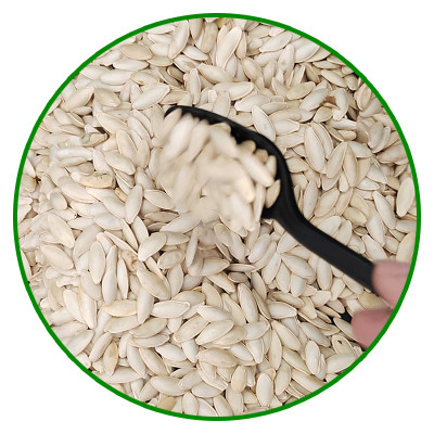 Wholesale pumpkin seeds are edible | Bulk Lady Nail Type Pumpkin Seeds Edible Inshell For Sale