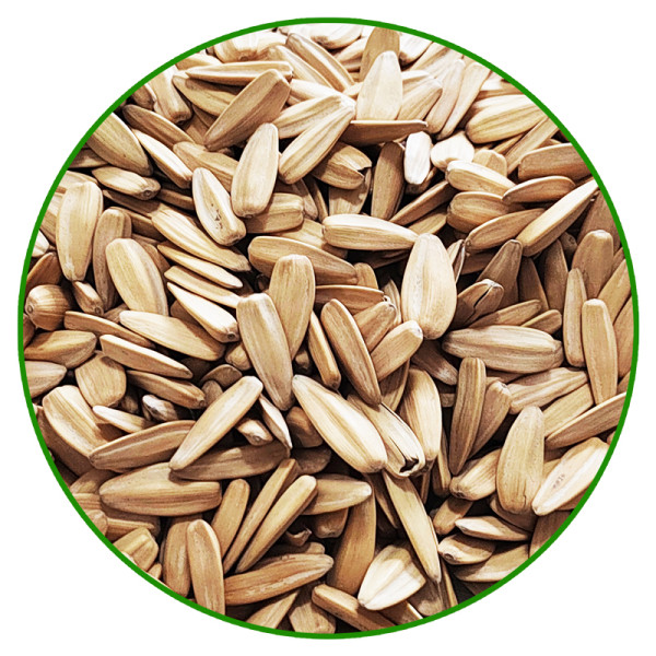 Fried White Sunflower Seeds | Factory Supply Wholesale White Sunlower Seeds Roasted For Snack