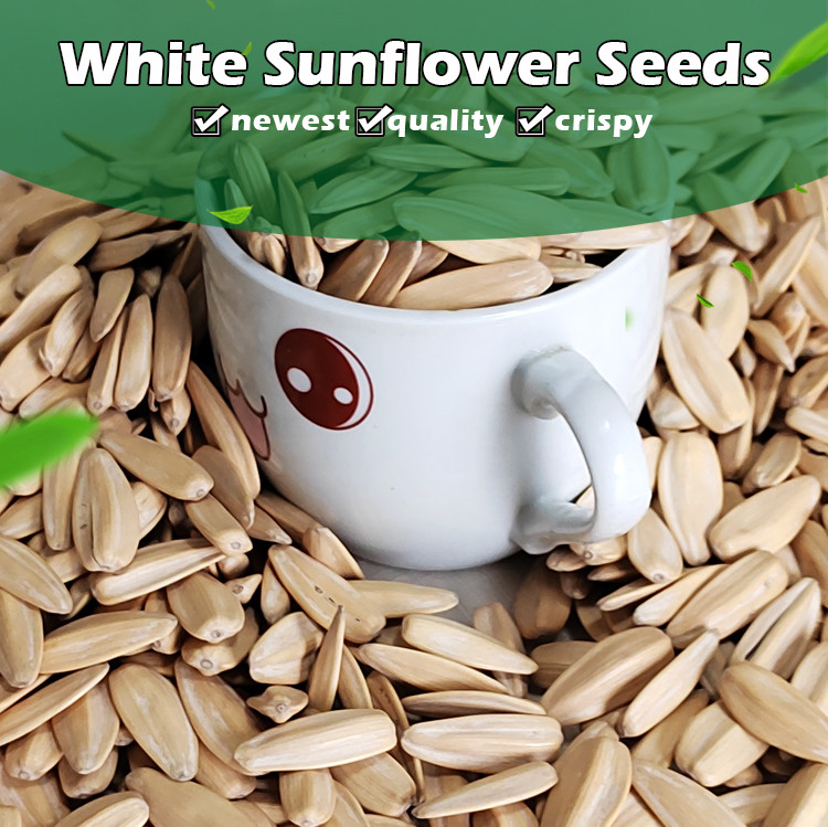 wholesale fried sunflower seeds