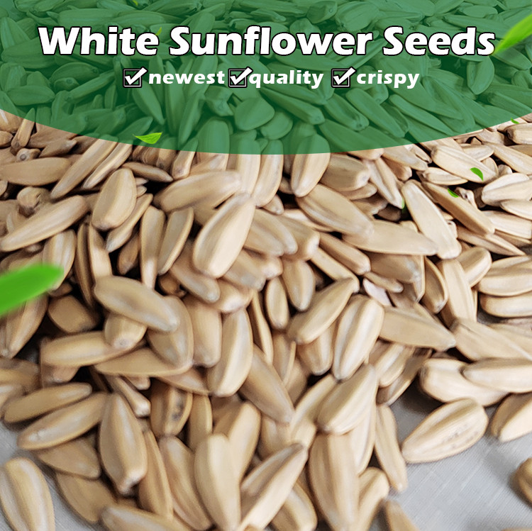 wholesale fried sunflower seeds